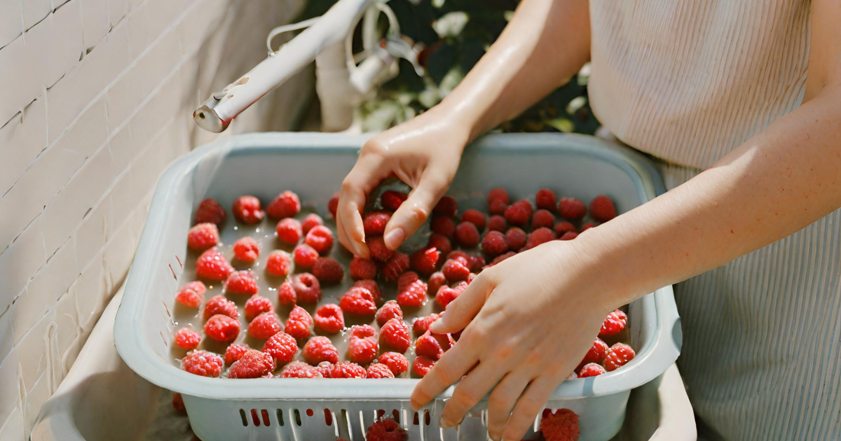 washing Raspberries 