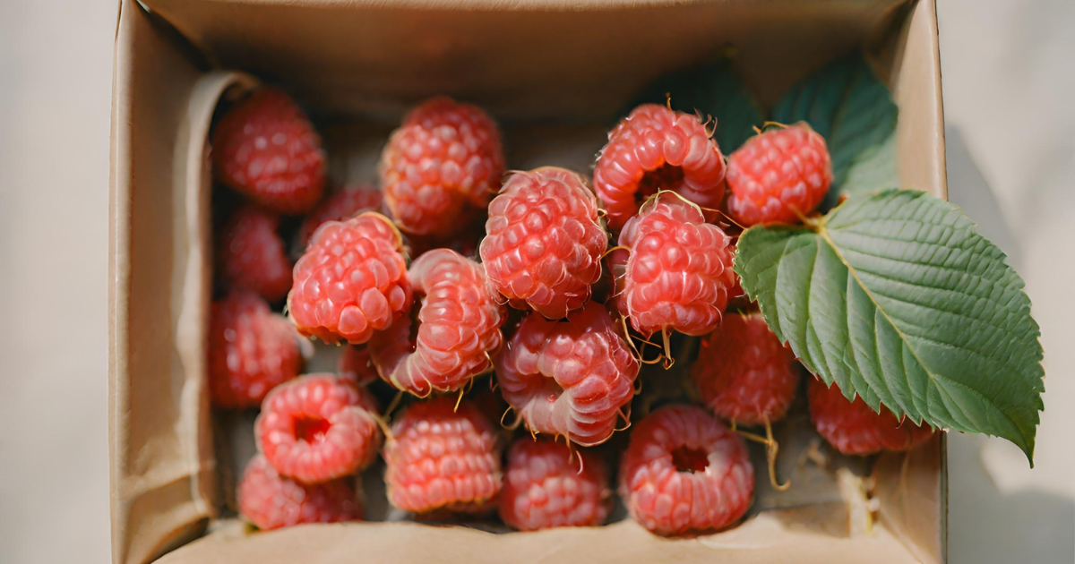 Raspberries 