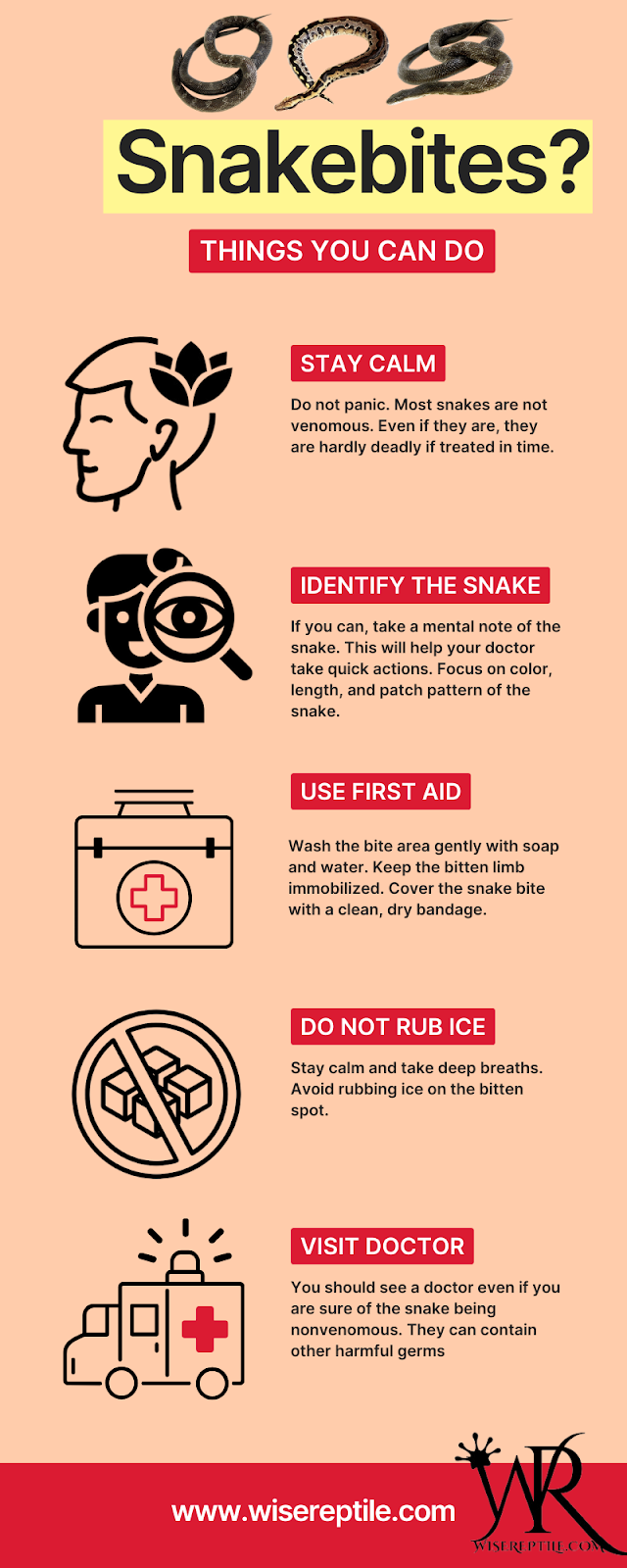 What to do if snake bites? Snake Bite Death Statistics