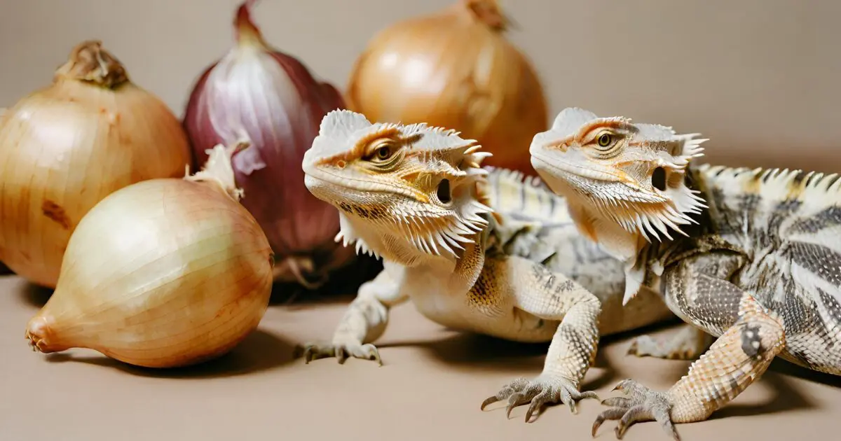 Can Bearded Dragons Eat Onion