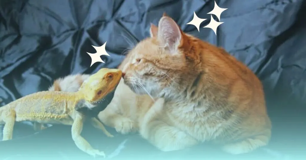 Cat and bearded dragon share a cozy spot on a bed.