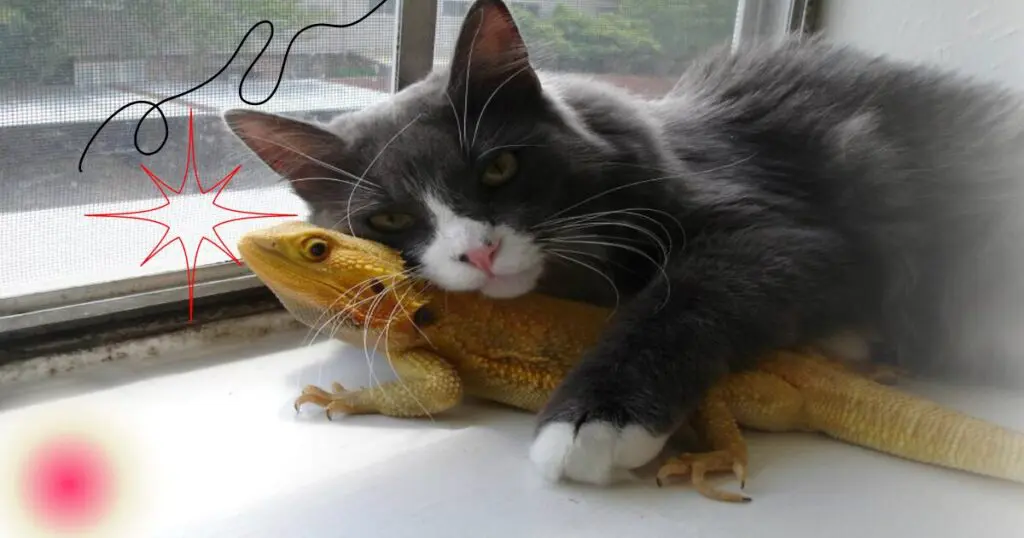 Cat rests on top of a yellow lizard on a window sill.