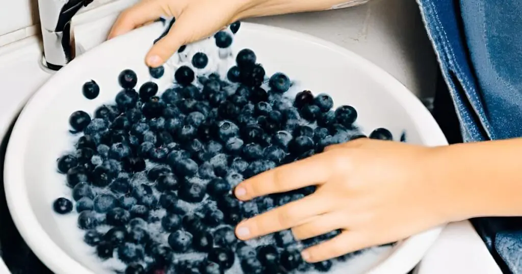 Washing blueberries