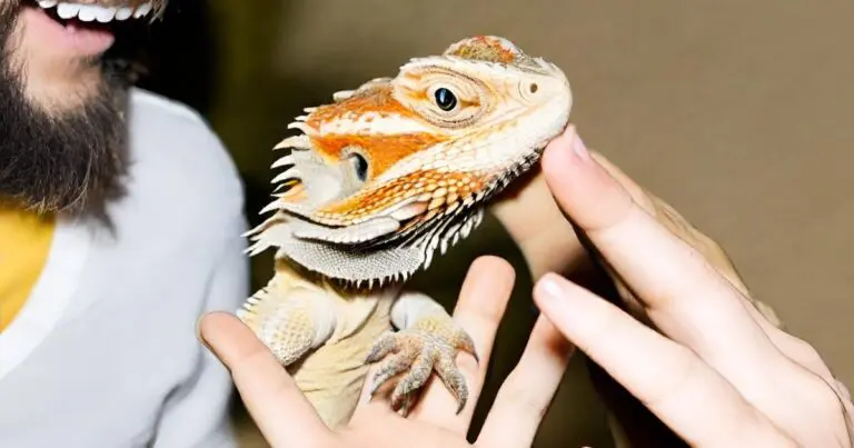 Are bearded dragon good pets