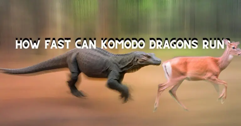 A deer and a komodo dragon running