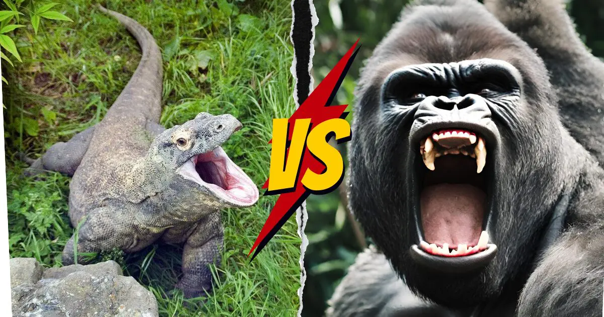 Komodo Dragon vs Gorilla: Similarities, Differences, and Combats