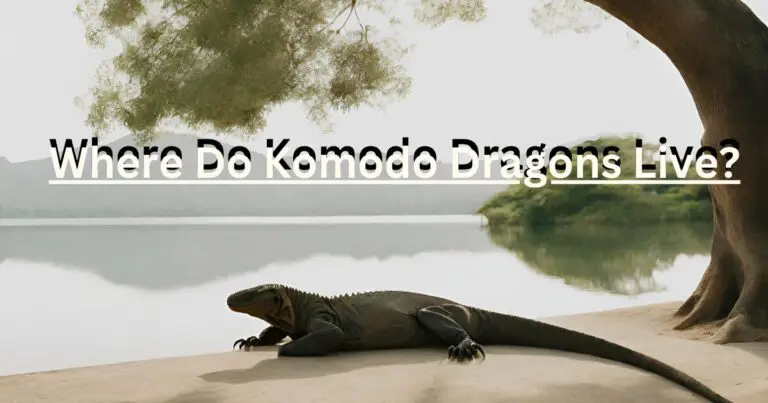 A text overlay on an image of a Komodo dragon asks where do Komodo dragons live