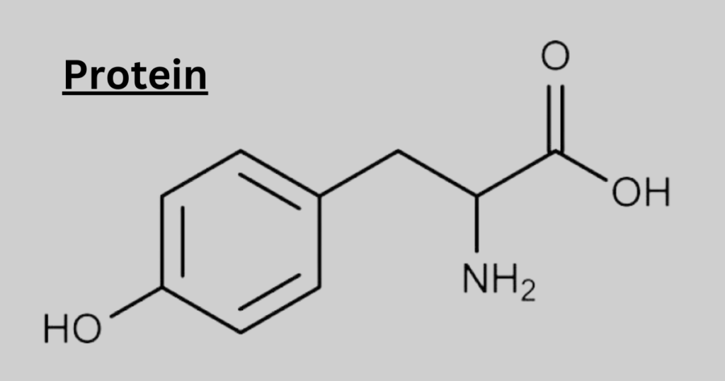 Chemical structure of protein