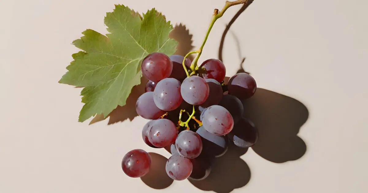 A bunch of red grapes